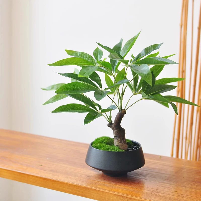 Simulation fake tree bonsai - Image 4